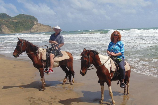 Nature & Historical Horseback Riding Tours St. Lucia - Price and value: what $120 buys you on this St. Lucia ride