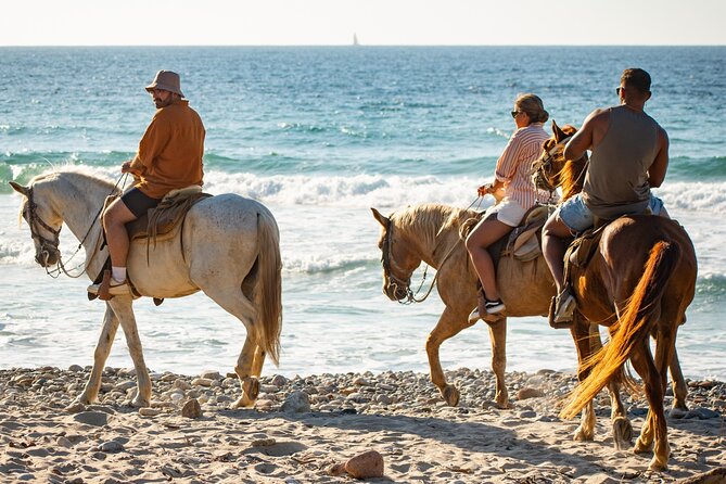 NEW!! Combo ATV & Horseback Ride. Beach & Desert. Tequila Tasting - Who should book this combo (and who might not love it)