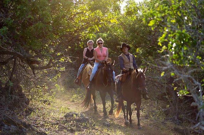 Oahu Sunset Horseback Ride - Key takeaways before you go