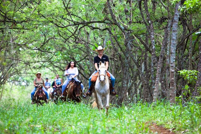 Oahu Sunset Horseback Ride - What Happens Before You Mount: Safety, Helmets, and Calm Horses