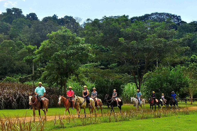 Ocean View Zip Line + Horseback Riding & Natural Pool Combo - After the Zip Line: Horseback Riding to Mountain Views