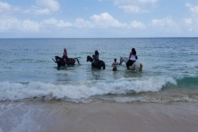 Ocho Rios Private Horse Riding, River Tubing and Rafting[Entry fee not included] - Price and What You Really Get for $134.16