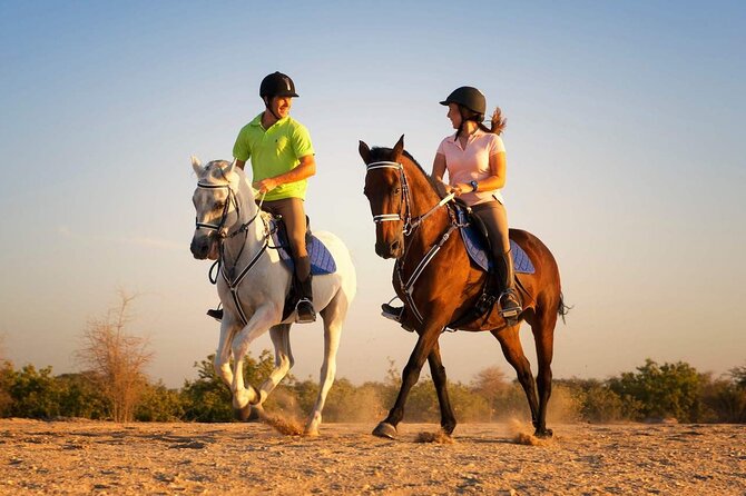 One Hour Desert Horseback Riding Adventure From Sharm El Sheikh - Key highlights to know before you go