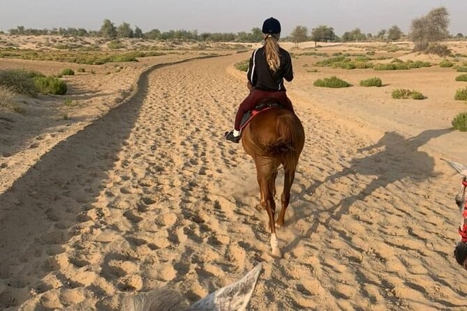 One Hour Desert Horseback Riding Adventure From Sharm El Sheikh - Sharm el Sheikh desert horseback: what you’re really paying for