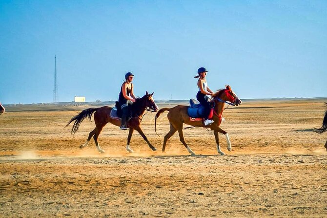 One Hour Desert Horseback Riding Adventure From Sharm El Sheikh - The one-hour desert ride: what it feels like and what to watch for