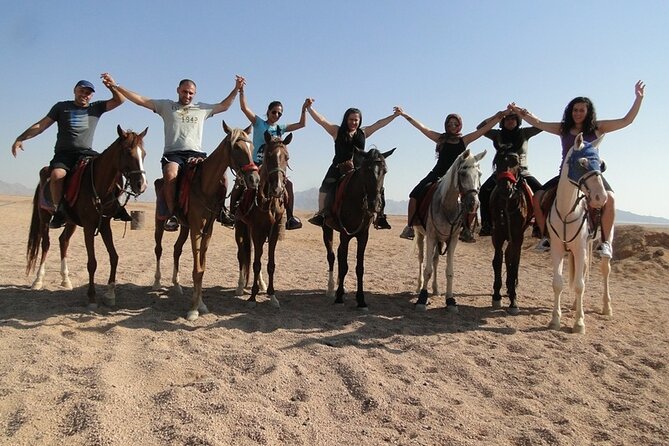 One Hour Desert Horseback Riding Adventure From Sharm El Sheikh - Group size and the guide experience: smaller is better