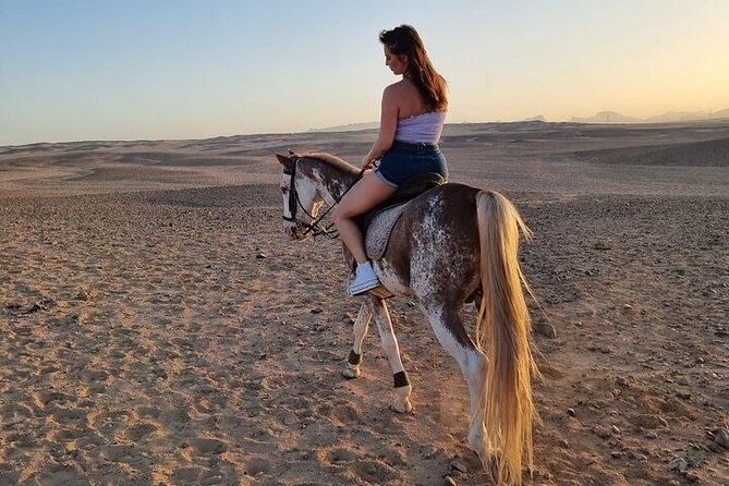One Hour Desert Horseback Riding Adventure From Sharm El Sheikh - Practical advice for a smoother ride