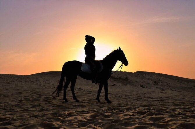 One Hour Desert Horseback Riding Adventure From Sharm El Sheikh - Who this horseback ride is best for