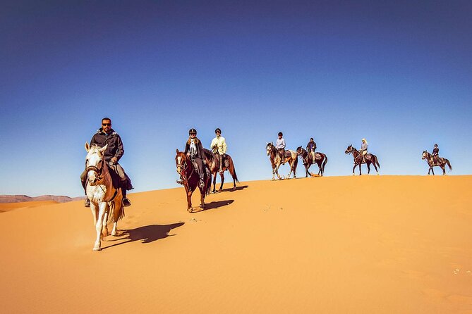 One Hour Desert Horseback Riding Adventure From Sharm El Sheikh - Getting to the horses: hotel pickup and the main road entrance