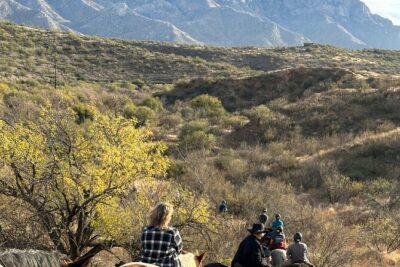 One Hour Guided Horseback Ride - Stop 1: Santa Catalina views in Coronado National Forest