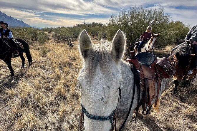 One Hour Guided Horseback Ride - Guide quality: why Ari’s name keeps coming up