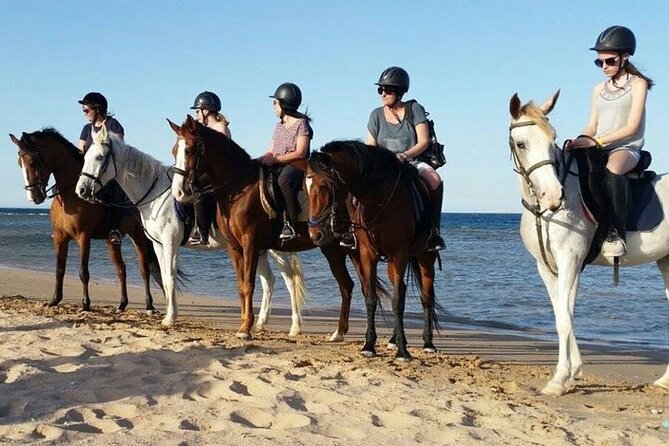 One Hour Horse Riding Beach with Transfer from Hurghada - Key highlights you’ll care about