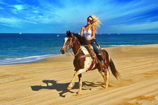 One Hour Horse Riding Beach with Transfer from Hurghada - Red Sea Coastline Views From the Saddle