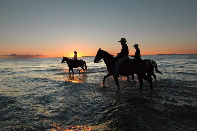 One Hour Horse Riding Beach with Transfer from Hurghada - Who This Ride Works Best For (and Who Might Want to Skip It)