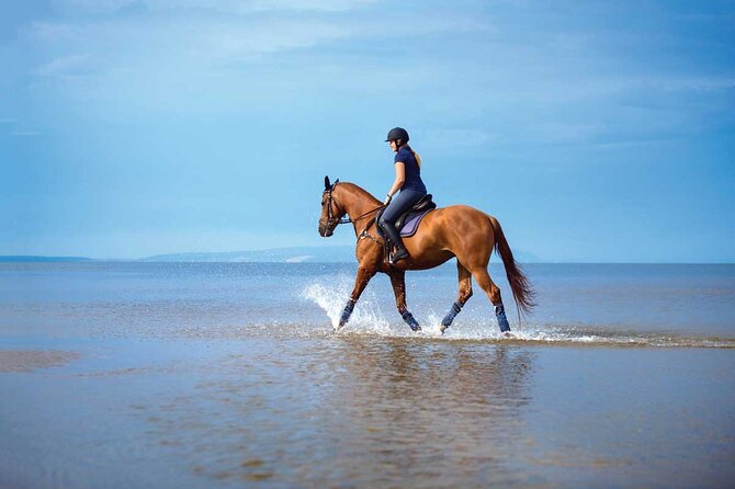 One Hour Horse Riding Beach with Transfer from Hurghada - Group Size, Pace, and Comfort With a Max of 15