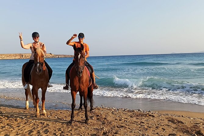 One Hour Horse Riding Beach with Transfer from Hurghada - Price and Extra Fees: Is $8.45 Actually Good Value?