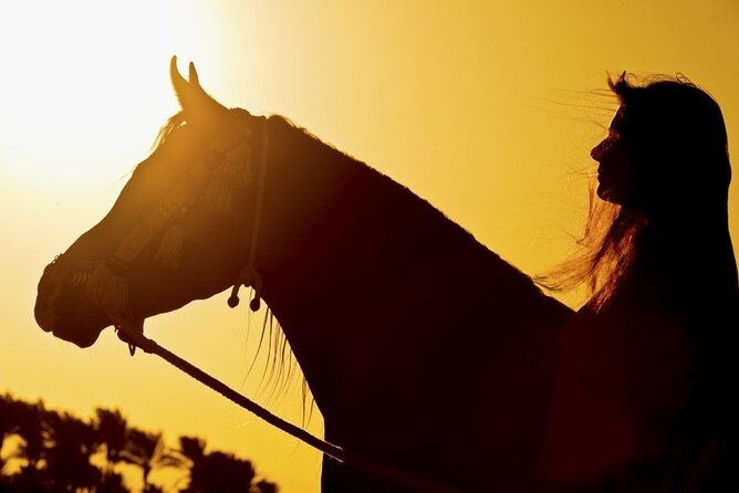 One Hour Horse Riding or Camel Riding At Amazing Desert in Hurghada - One-Hour Desert Riding in Hurghada: What You’re Really Buying