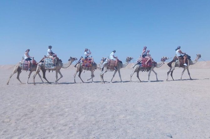 One Hour Horse Riding or Camel Riding At Amazing Desert in Hurghada - Included Comforts: Helmet and Water Do the Heavy Lifting
