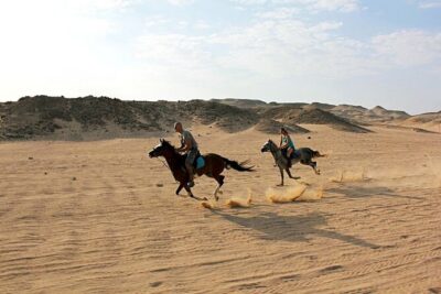 One Hour Horse Riding or Camel Riding At Amazing Desert in Hurghada - Horse Riding vs Camel Riding at Amazing Desert: Pick Your Vibe