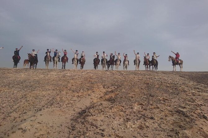 One Hour Horse Riding or Camel Riding At Amazing Desert in Hurghada - The Role of Trainers: How You Start Feeling Confident Fast