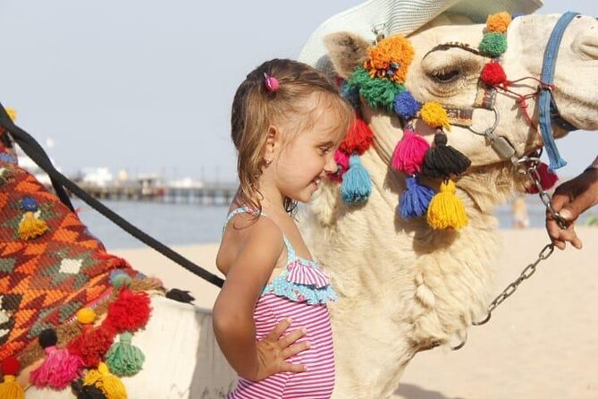 One Hour Horse Riding or Camel Riding At Amazing Desert in Hurghada - Price and Value: Is $14.90 Actually a Good Deal?