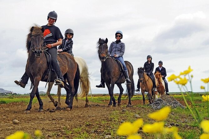 One-Hour Horseback Riding Tour in the Icelandic Countryside - Key Things You’ll Notice Before You Go