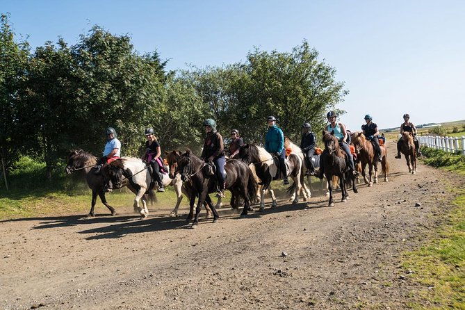 One-Hour Horseback Riding Tour in the Icelandic Countryside - Entering The Ride at Hótel Eldhestar in South Iceland