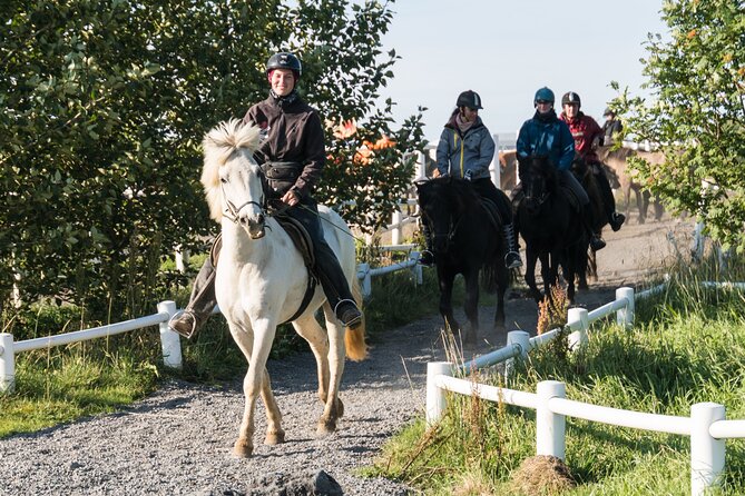 One-Hour Horseback Riding Tour in the Icelandic Countryside - Horse Time That’s Built for First-Timers