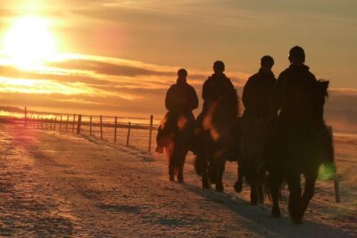 One-Hour Horseback Riding Tour in the Icelandic Countryside - Around Vellir Farm: What This One-Hour Ride Feels Like