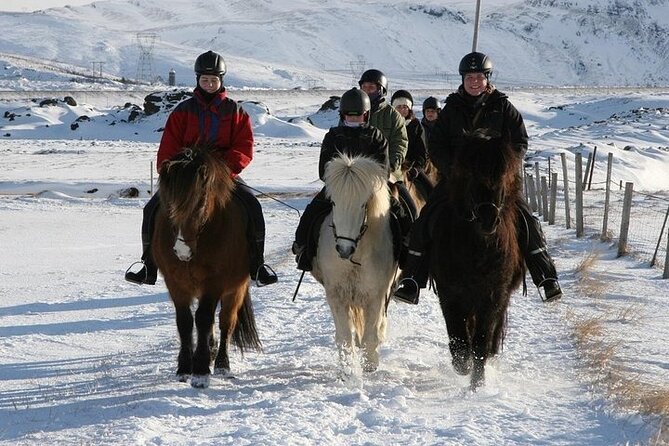 One-Hour Horseback Riding Tour in the Icelandic Countryside - Who Should Book This Eldhestar Horse Ride?