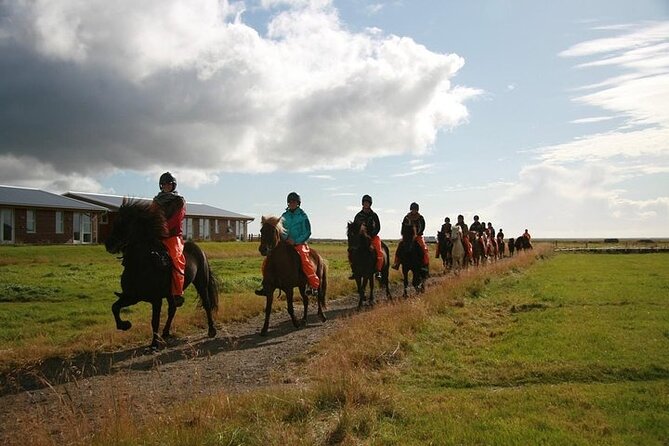 One-Hour Horseback Riding Tour in the Icelandic Countryside - FAQ