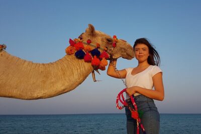 One Hour Horseback Riding Trip with Transfer - Sharm El Sheikh - Helmet, guide, and matching with your horse