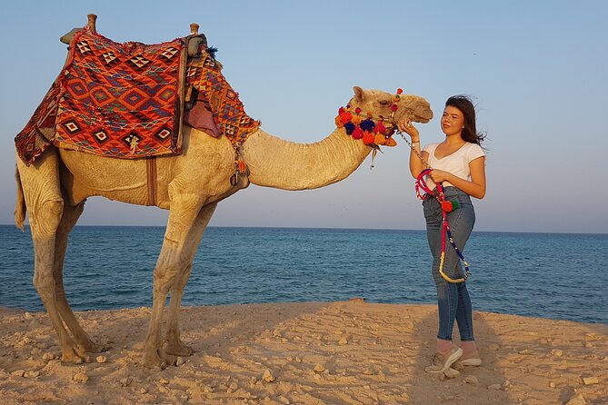 One Hour Horseback Riding Trip with Transfer - Sharm El Sheikh - How to get the most from your hour on horseback