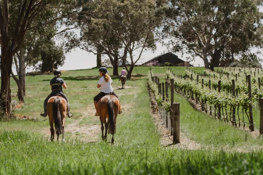 Petaluma: Horseback Riding and Wine Tasting Tour - Key things worth knowing