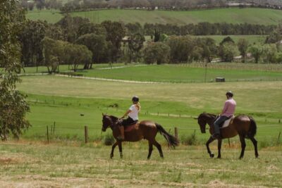 Petaluma: Horseback Riding and Wine Tasting Tour - Arrival at Hallmark Farm: Helmets, Horse Introductions, and Quick Confidence