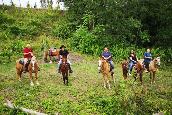 Pompeii Guided Tour & Horse Riding on Vesuvius with Lunch - Who should book this (and who might rethink it)