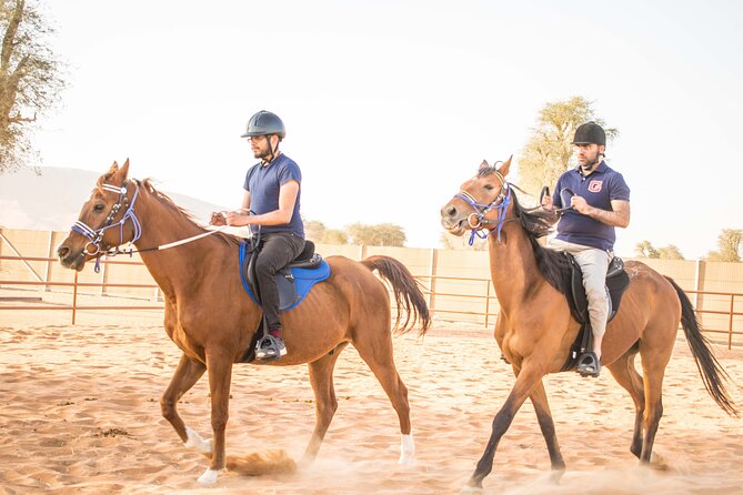Private 4x4 Mleiha Desert Safari Horse Riding with Museum Visit - Key highlights at a glance