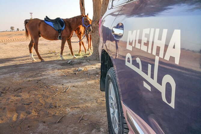Private 4x4 Mleiha Desert Safari Horse Riding with Museum Visit - Why Mleiha feels different than typical Dubai desert outings