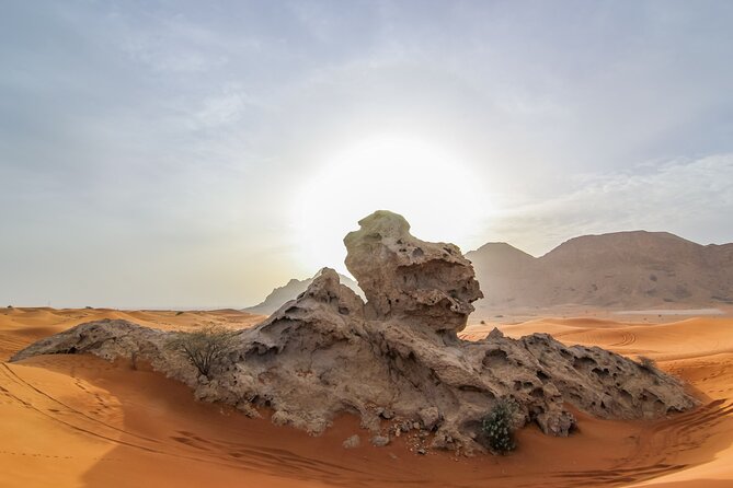 Private 4x4 Mleiha Desert Safari Horse Riding with Museum Visit - The palm-dotted oasis stop: snack, shade, and a reset