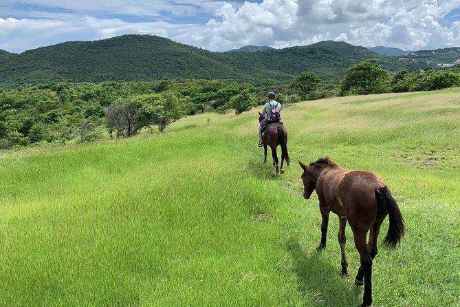 Private Advanced Horseback Beach Ride with Sandy Hoofs St. Lucia - Price and the value of 3 hours in a private saddle