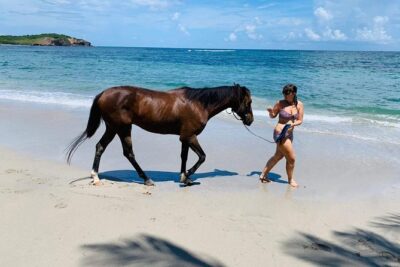 Private Advanced Horseback Beach Ride with Sandy Hoofs St. Lucia - Meeting at Sandy Hoofs: where you start and how the session flows
