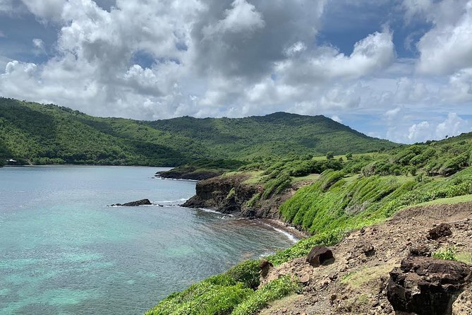 Private Advanced Horseback Beach Ride with Sandy Hoofs St. Lucia - When you can swim with your horse (and when you can’t)