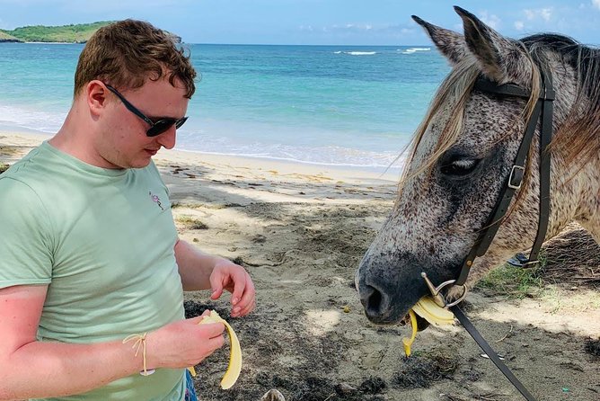 Private Advanced Horseback Beach Ride with Sandy Hoofs St. Lucia - Weather rules: rain or sun, and how rescheduling works