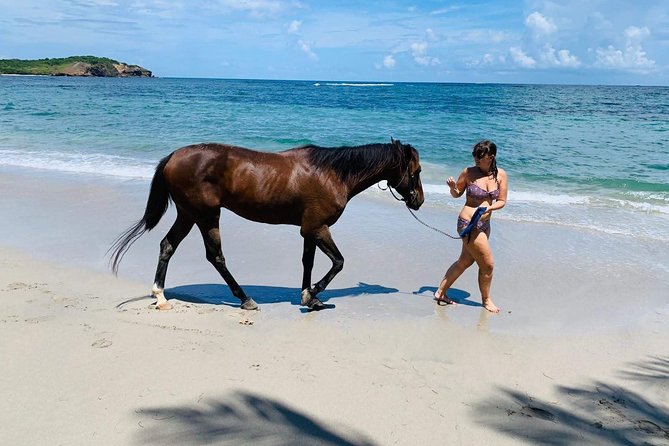 Private Advanced Horseback Beach Ride with Sandy Hoofs St. Lucia - Meeting at Sandy Hoofs: where you start and how the session flows