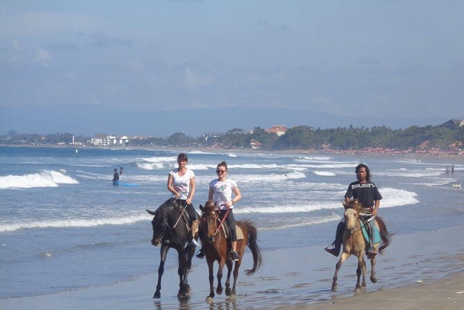 Private Bali Horse Riding In Seminyak Beach - Horses, safety, and the care debate you should take seriously