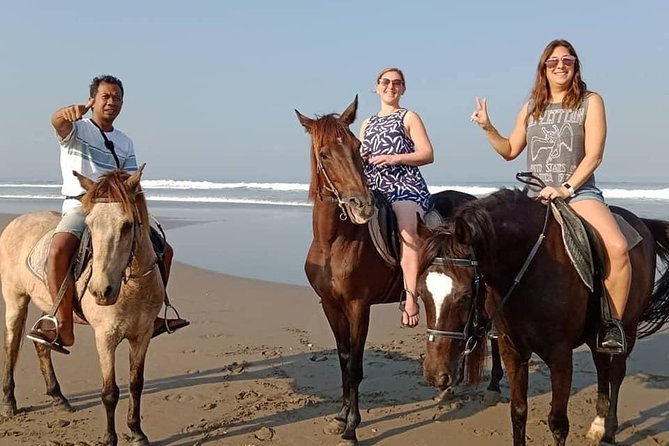Private Bali Horse Riding In Seminyak Beach - Price and value: is $42.99 a good deal?