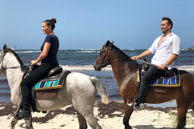 Private Beach Horseback Ride with Sandy Hoofs St. Lucia - Key Things That Make This Ride Worth It