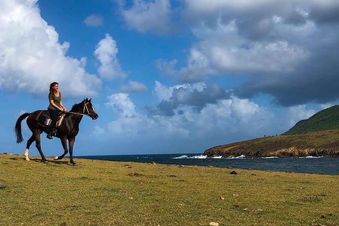 Private Beach Horseback Ride with Sandy Hoofs St. Lucia - Horseback Along St Lucia’s North Eastern Coast: What the Ride Feels Like