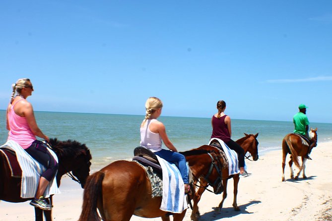 Private Beach Horseback Riding from Ocho Rios - Why Private Beach Horseback Riding Near Ocho Rios Works So Well