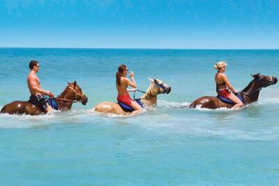Private Beach Horseback Riding from Ocho Rios - Pickup and the Start of the Day: Fewer Moving Parts